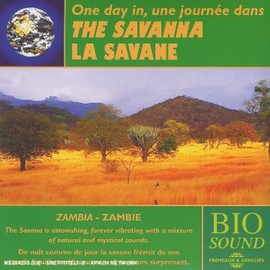 The Savanna