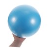 WOONEKY Gym Yoga Ball Small Ball for Home Workout Fitness