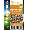 100 Organic Gandules, Pigeon Peas Seeds by Prorganics