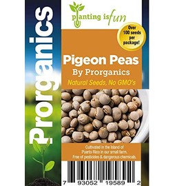 100 Organic Gandules, Pigeon Peas Seeds by Prorganics
