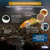 Fancy Pets Lomas Alimentador Automático para Peces Programable con Pantalla