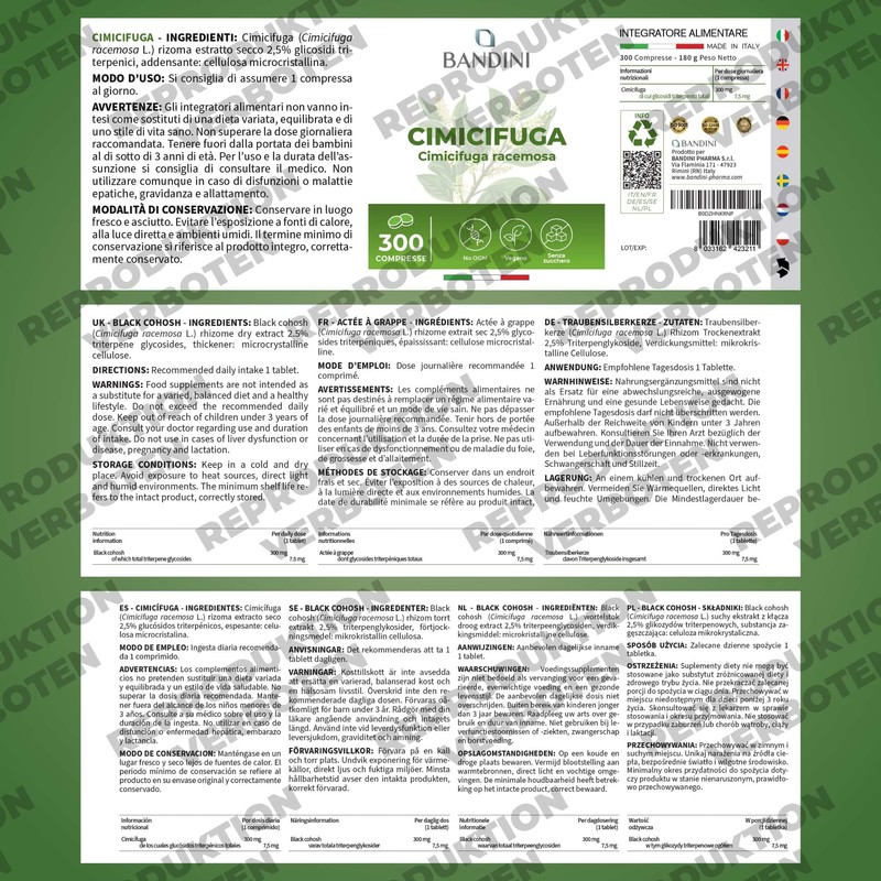 Bandini Ginkgo Biloba 6000 mg, 365 Tablets, 50:1 Extract, High