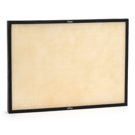 Rabbit Air, Air Purifier Filter Replacement - Genuine Classic BioGS HEPA Replacement Compatible with Model SPA-421A & SPA-582A Kit for Air Purifiers