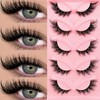 Cat Eye False Eyelashes, 5 Pairs Natural Fluffy Curling Faux