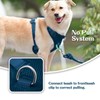 No Pull Dog Harness for Small Medium Large Dogs -