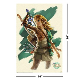 The Legend Of Zelda: Tears Of The Kingdom - Gaming Poster (Link Unleashed) (Size: 24" x 36")