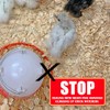 Brooder Pads for Chicks (25 Pack)