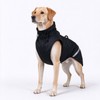 Dog Raincoat for Rainy Walks – Waterproof Polyester Jacket with