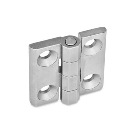 Ganter Standard Elements Hinges | Easy to Mount | (, Stainless Steel, Matt Sandblasted, GN Nickel, 60 60 A, GS
