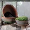 HomArt Rustic Terra Cotta Bulb Pot, Small , Antique Red,