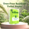 Caboo Tree Free Toilet Paper, Tree Free, Septic, Chemical Free