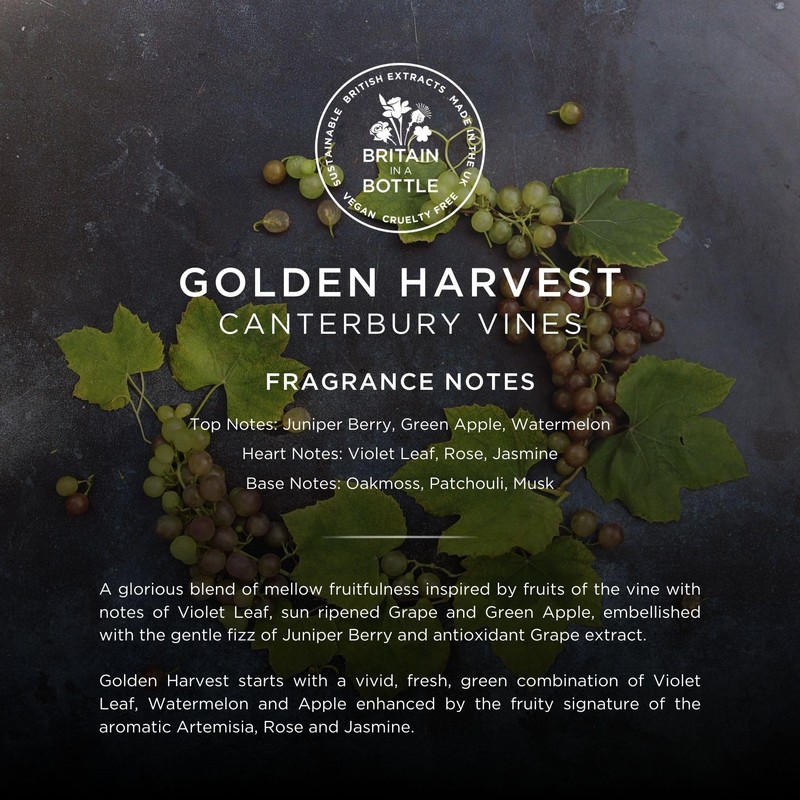 Noble Isle Noble Isle Golden Harvest Bubble Bath & Shower