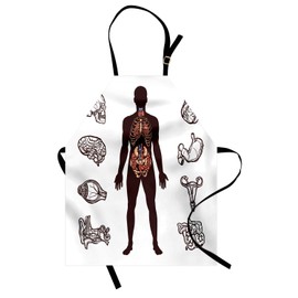 Ambesonne Anatomy Apron, Human Body with Internal Organs Sketch Health Biology Man Physiology, Unisex Kitchen Bib with Adjustable Neck for Cooking Gardening, Adult Size, Brown Pink