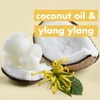 Champú y acondicionador Love Beauty and Planet