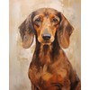 OKSGYTA Digital Painting Pet Dog Dachshund, Paint by Number Kit