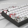 JSJT Shine Through Keycaps-Japanese Keycaps 129 teclas Plum Blossom juego