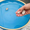 Summit Chemical Co. Insect Mosquito Dunk 6PK