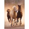 Clementoni Rompecabezas Caballos A Galope 1000 Pz Clementoni Italia