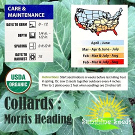 Sunshine Seeds Morris Heading Collard Green Seeds / ORGANIC / FLORIDA GROWN / SOUL FOOD