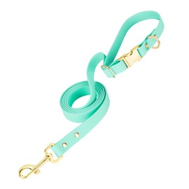PetBonus Waterproof Dog Leash, 5 FT Odor Proof Walking Training Lead for Small Medium Dog, Adjustable Handle with Side Release Buckle (M, Mint Green)