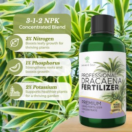 Professional Liquid Dracaena Plant Fertilizer | 3-1-2 Concentrate for Indoor Plants | Multi-Purpose Blend & Gardening Supplies | 8 oz Bottle
