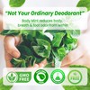 Body Mint Original | Chlorophyll Deodorizing Supplement for Full Body