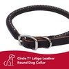 Coastal Pet Circle T Latigo Leather Round Dog Collar -