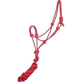 Gatsby Two-Tone Cowboy Halter w/Lead Red/Black