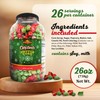 Stonehedge Farms Christmas Kettle Corn Popcorn | 26 oz Large