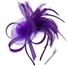 DRESHOW Fascinator Hats for Women Pillbox Hat with Veil Headband
