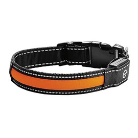 BARGAIN4ALL Reflective Nylon Dog Collar – with Safety Buckle – Adjustable Padded Breathable – Soft Neoprene – Medium Size (Orange)