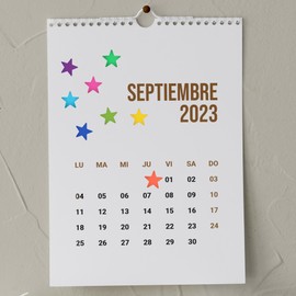 Hylabelest 0.5" Colorful Star Stickers, 9 Colors Foil Metallic Paper Color Coding Labels Seals for Home, Boys & Girls, DIY and Office Decoration, 540 Pcs