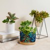luckluccy Succulent Pots Christmas Tree Stained Glass Ceramic Pots for