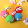 ProLeo Dog Teeth Ball Toy, 6 Pack, Vinyl, Squeaky, Chew