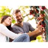ABUS Aluminium-Vorhangschloss 72/40 "LoveLock" 4 mit Motiv Doppelherzen gerade, rot,