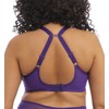 Elomi Matilda Banded Plunge Underwire Bra (8900),40E,Iris