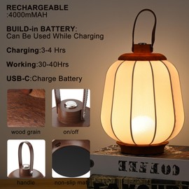 ZenithLight Cordless Rechargeable Table Lamp- Hangable Lantern LED Outdoor Lamp- 4000mAh Battery Operated 3 Color Dimmable Touch Lamps with Handle for Bedroom/Living Room/Restaruant/Camping