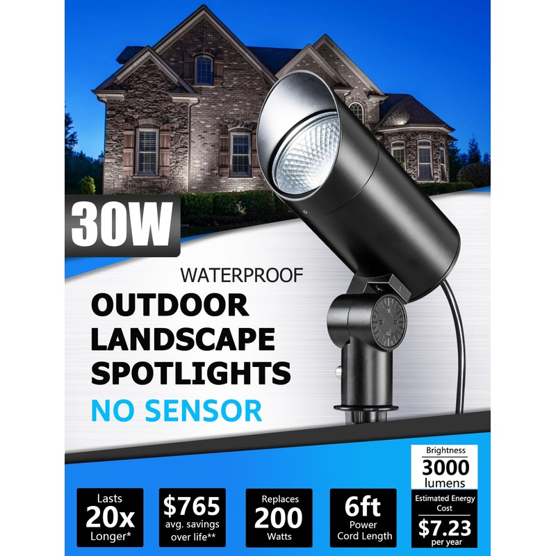 SUNVIE 30W LED Spot Lights Outdoor 5000K Daylight Flag Pole