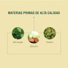 ADAPTOHEAL ATI Cúrcuma, Uña de Gato, Romero y Extractos Herbales