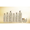 Shea Butter Coconut & Marula Oil Shampoo 355 ml