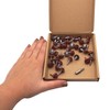 SKIR'CO Pack of 40 Metal Roofing Screws 4.8 x 20