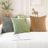 CaliTime Pack of 2 Cozy Throw Pillow Covers Cases for