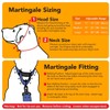 If It Barks - 1.5" Martingale Collar for Dogs -