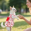 choyaxo Floral Dog Dress Cute Dog Skirt Pet Dress Summer