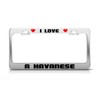 I Love A Havanese Animal License Plate Frame Tag Holder