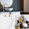 Mayfair Bennett Toilet Seat with Brushed Gold Hinges, Slow Close
