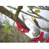 Senkichi SGP-35C Pruning Shears with Catch Function to Prevent Dropping