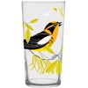 Charley Harper Bird Glasses III (Set of 4)