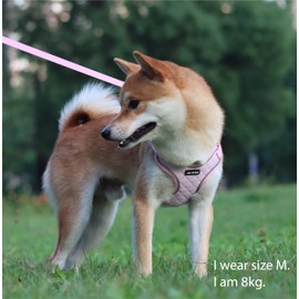 JdotMIN Harness for Dogs and Cats, No-Pull Dog Harness Small Medium, Adjustable Reflective Pet Puppy Step in Harness Vest, Easy Walk Soft Breathable Padded Dog Leash Set (Pink, M)