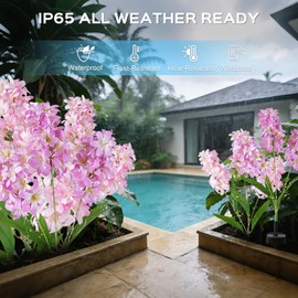 TANSOREN 2 Pack Solar Garden Lights Outdoor, Colorful LED Waterproof Solar Powered Hyacinth Flowers Landscape Lights for Outside Yard, Patio, Pathway Decorative, Décor, Gifts, Two Lighting Modes